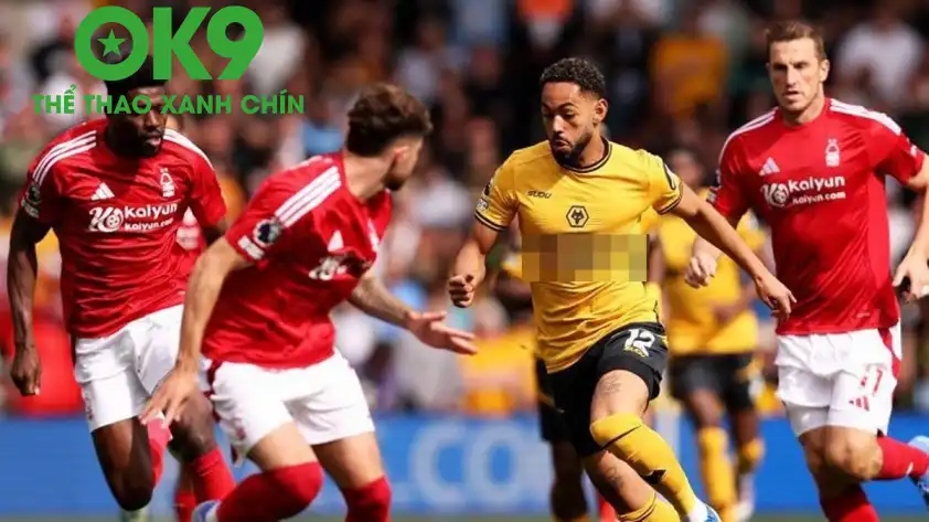 Nottingham Forest sẽ có trận đấu không hề dễ dàng trước Wolves. (Ảnh: Internet) Nottingham Forest sẽ có trận đấu không hề dễ dàng trước Wolves. (Ảnh: Internet)